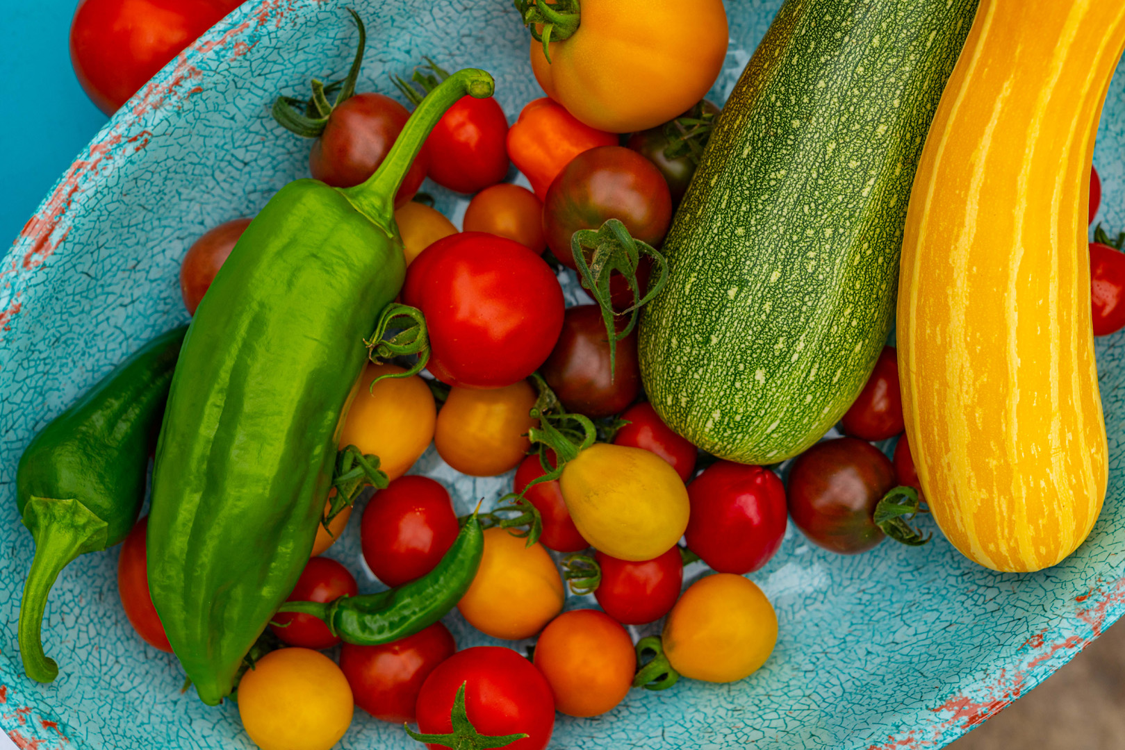 Health & Wellness Sustainability Compass Ireland