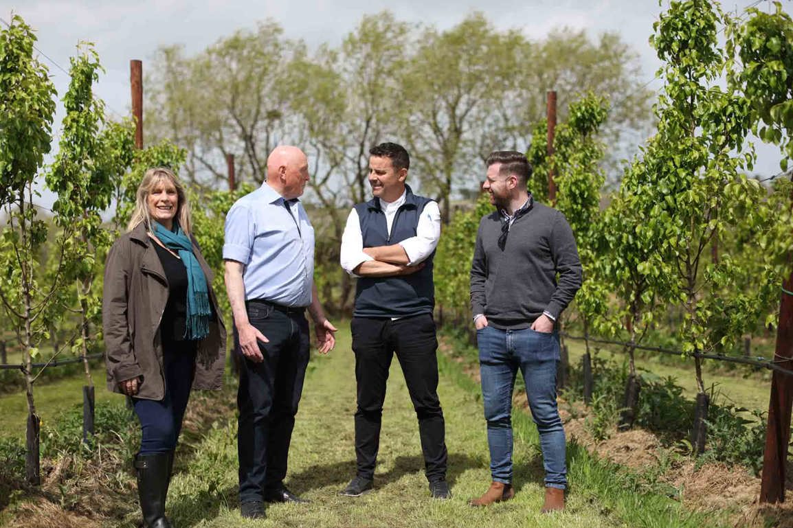 Mccann Orchard Web