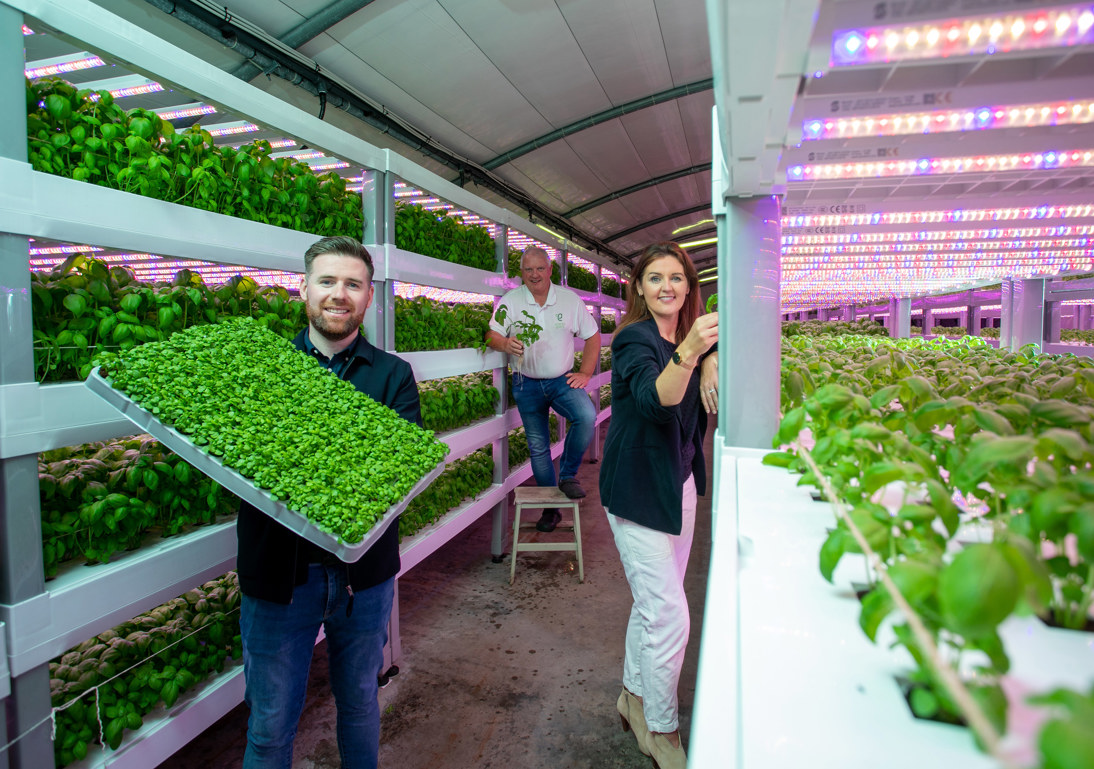 Compass Hydroponics 066