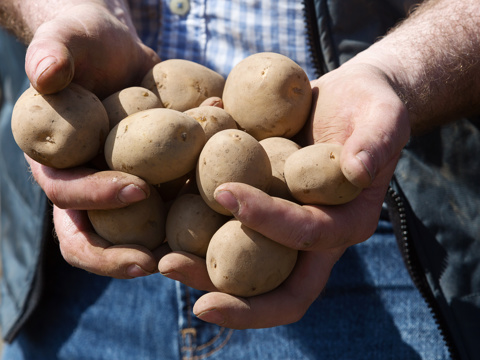 1IMAGE 20170502 133642 5569