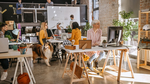 Pets in the office