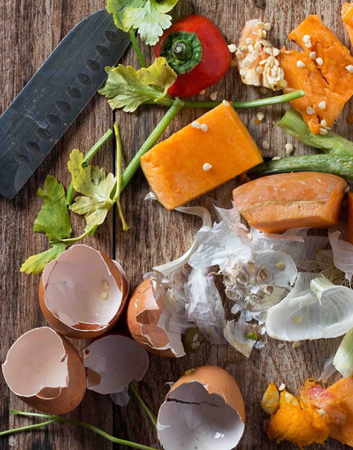 News Food Waste