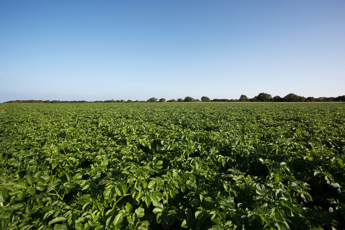 1IMAGE 20170725 172846 4171