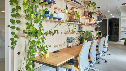 Desk with hanging plants
