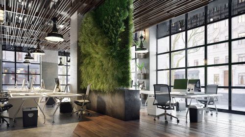 Large, modern office with high windows, desk and plants