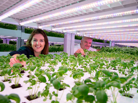 Compass Hydroponics 022