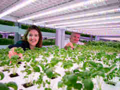 Compass Hydroponics 022