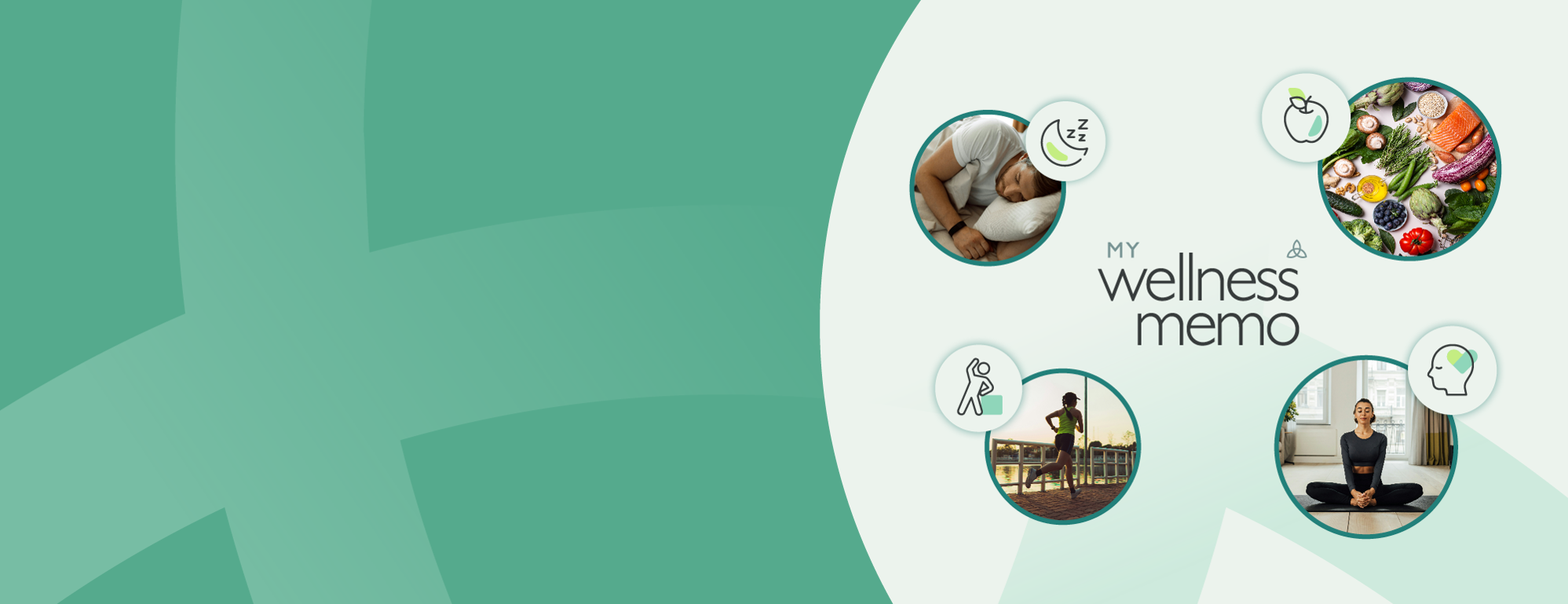 Compassireland Newsletter Header Teal